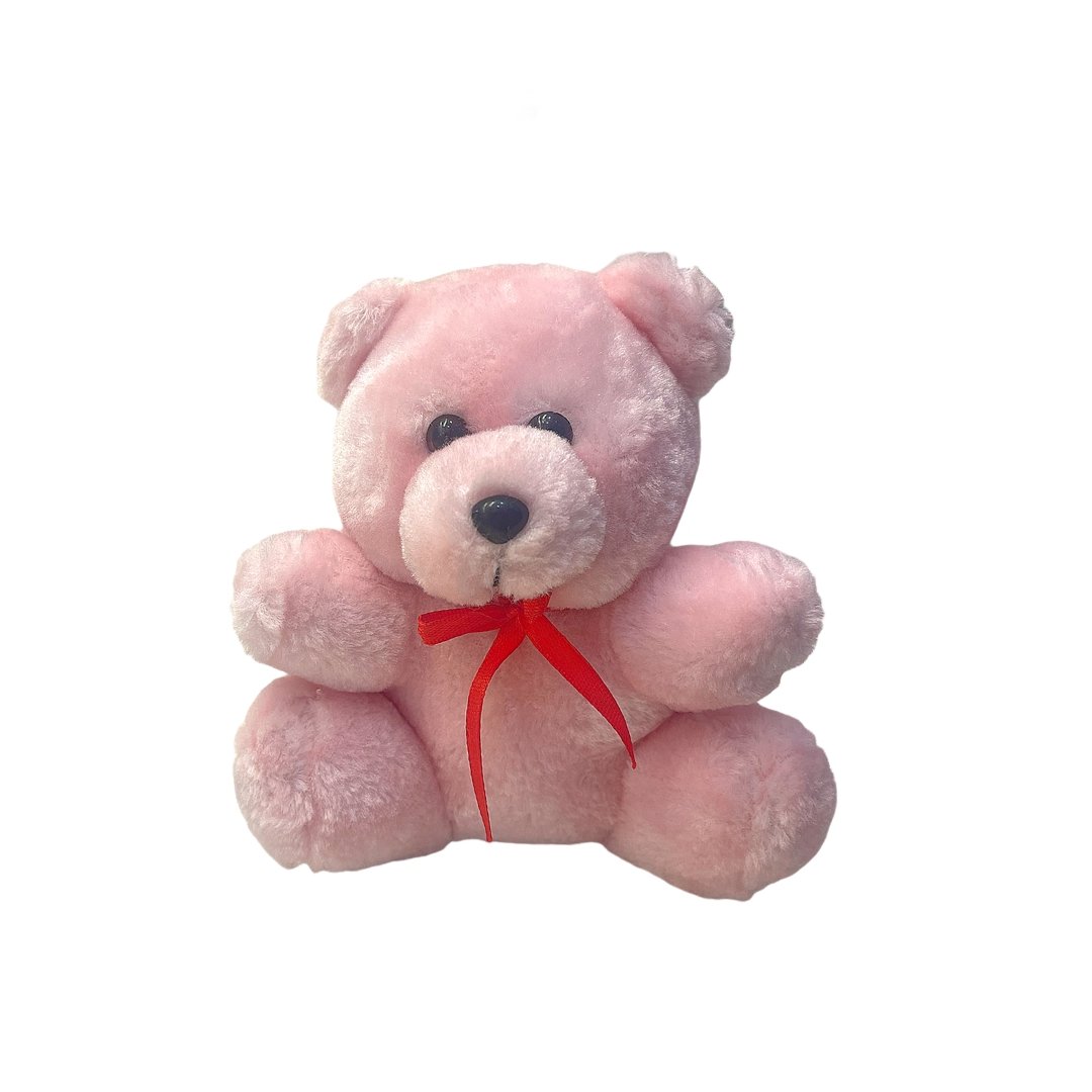 Pink Teddy
