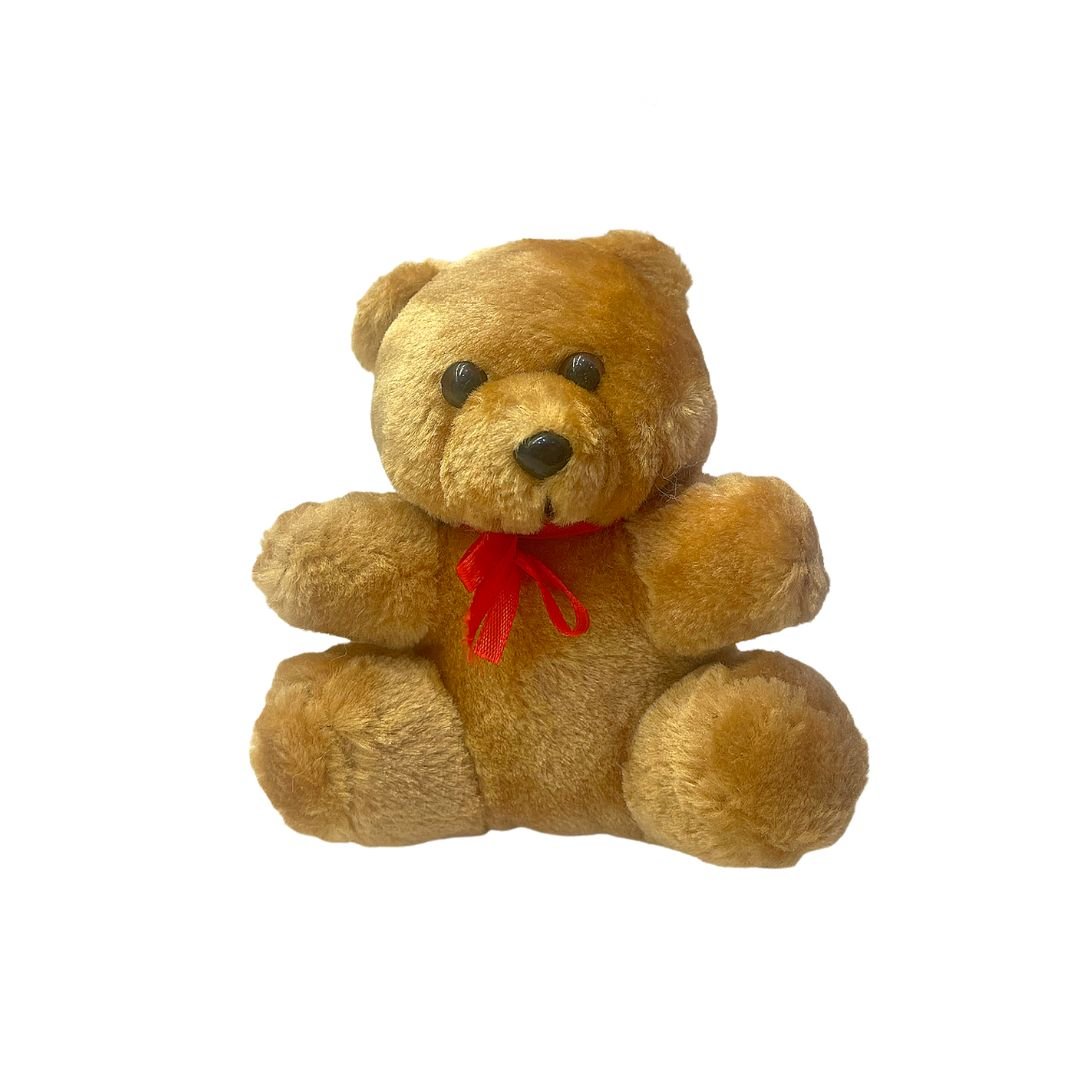 Brown Teddy - Fruitilicious.in